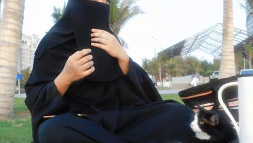 娱乐吃瓜君七七怎么了,揭秘七七神秘事件背后的真相